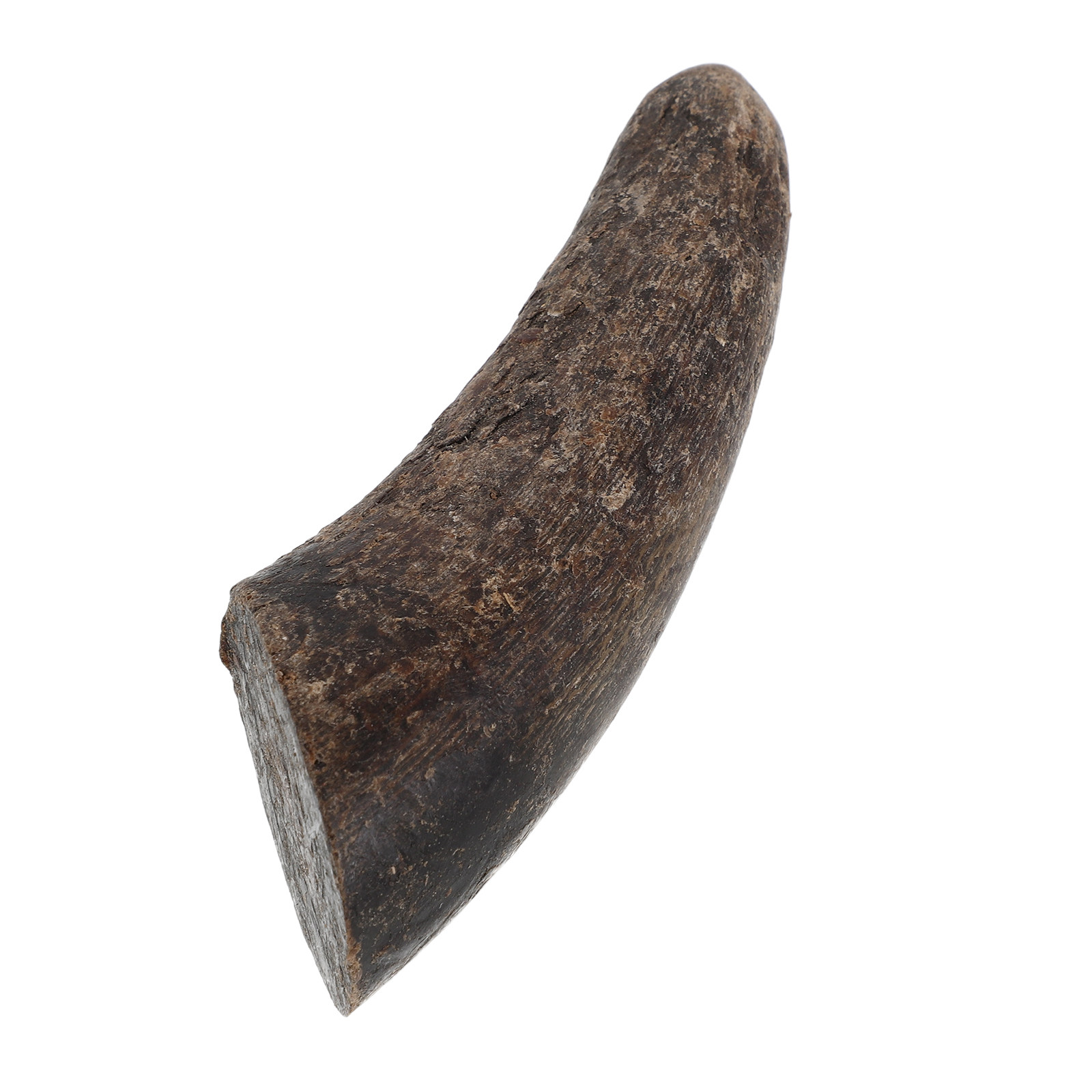 Plaques de corne de buffle d'e - Jewelry Making Raw Materials avis et prix